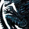 Alien Egg 老师